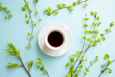 Mavi arka planda genç yaprakları olan beyaz kahve ve huş dalları. Yay düz, üst manzara.