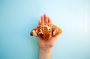 Peynirli çıtır kruvasan ve mavi arka planda erkek avuç içinde susam tohumu. Yakın çekim, kopyalama alanı, fırıncı