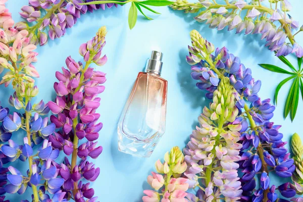perfume spray bottle and multicolored lupine flowers a lot on blue background. Blank label bottle for branding. Eau de toilette. Mockup, flat lay, top front view