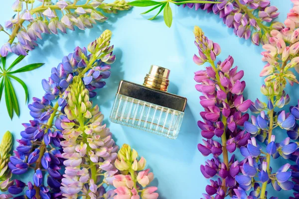 Unbranded vintage square perfume spray bottle and multicolor lupine flowers on blue background. Front top view, summer flatlay. Transparent glass perfume bottle for branding and label. Eau de toilette