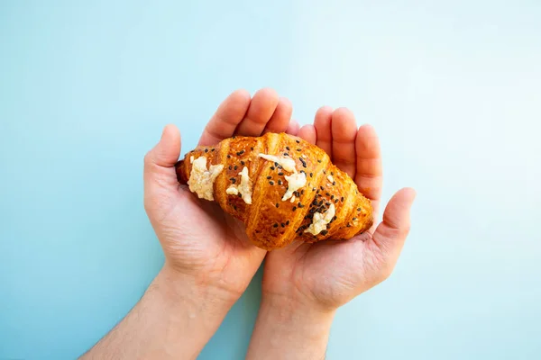 Crispy croissant with cheese and sesame seeds on male palm baker hands on blue background. Close-up, top view