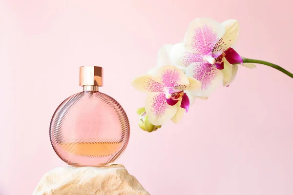 Mockup round perfume bottle on stone and phalaenopsis orchid Octopus flowers on pink background. Transparent glass perfume bottle for branding and label. Eau de toilette.