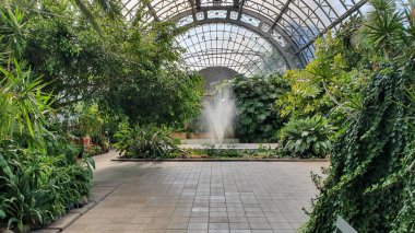 Tropik botanik bahçe binası, çatı ve yapı, çeşme.