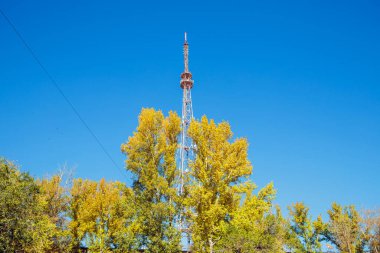 Dev şehir televizyon kulesi antenleri ve sonbahar sarısı yaprakları mavi gökyüzünde. Aşağıdan görüntüle