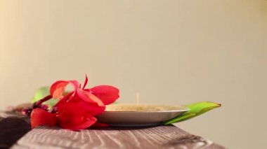 Woman's hand puts mug on saucer. Cup of coffee with saucer and large tropical green cannes leaf and the red flower of Canna swaying in wind on beige background, on wooden balcony fencing surface.