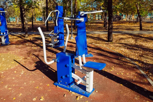 Exercise stations in public park. Free outdoor gym. Blue outdoor sports equipments in pine trees park on sunny autumn day.