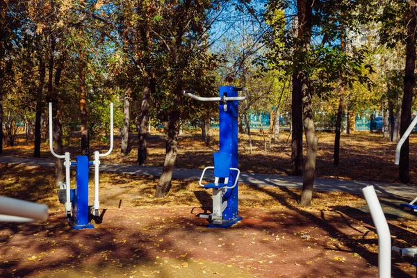Blue outdoor sports equipments in pine trees park on sunny autumn day. Exercise stations in public park. Free outdoor gym.