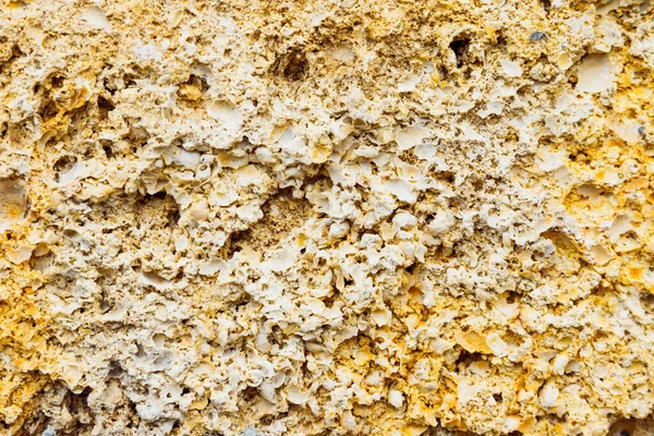 黄色の茶色の風化した石灰岩のマクロ写真がレンガの質感を描きました フルフレームの背景クローズアップ — ストック写真