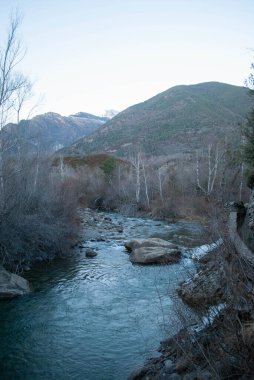 Verdant Ormanı 'ndan akan Manzaralı Dağ Nehri