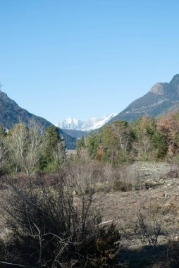 Yüksek Ağaçlar ve Açık Gökyüzü ile Resimli Dağ Manzarası