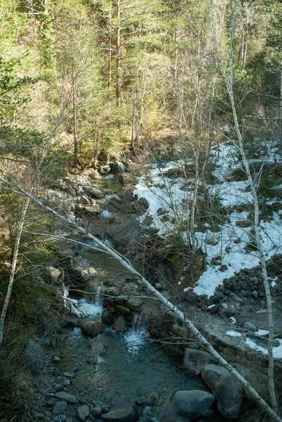 Majestuoso Río Forestal Que Fluye Través Las Montañas — Foto de Stock