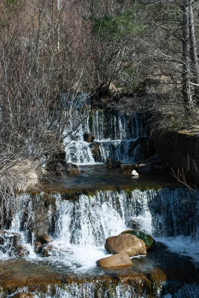 Agua Que Fluye Bosque Montaña Tesoro Natural — Foto de Stock