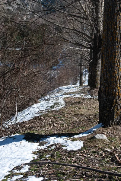 Doğanın Tadını Çıkarıyorum, Karla Kaplanmış Park Manzarası
