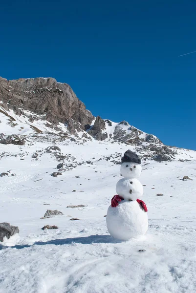Snowy Summit Snowman in snowy mountain