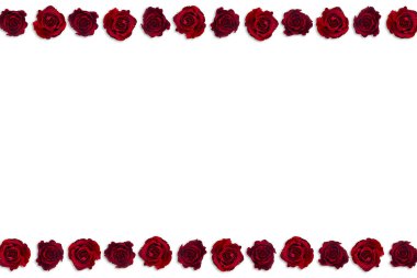 Sevgililer Günü. Çiçek kompozisyonu. Gül çiçeklerinden yapılmış yuvarlak çerçeve, beyaz arkaplanda konfeti. Sevgililer Günü geçmişi. Düz konum, üst görünüm, kopyalama alanı.