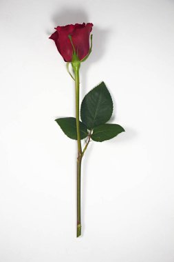 Sevgililer Günü. Çiçek kompozisyonu. Gül çiçeklerinden yapılmış yuvarlak çerçeve, beyaz arkaplanda konfeti. Sevgililer Günü geçmişi. Düz konum, üst görünüm, kopyalama alanı.