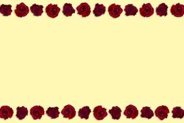 Sevgililer Günü. Çiçek kompozisyonu. Gül çiçeklerinden yapılmış yuvarlak çerçeve, beyaz arkaplanda konfeti. Sevgililer Günü geçmişi. Düz konum, üst görünüm, kopyalama alanı.