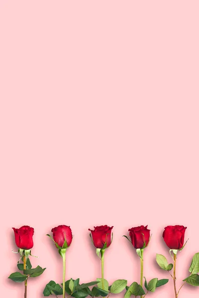 Sevgililer Günü Çiçek Kompozisyonu Gül Çiçeklerinden Yapılmış Yuvarlak Çerçeve Beyaz Telifsiz Stok Imajlar
