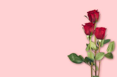 Sevgililer Günü. Çiçek kompozisyonu. Gül çiçeklerinden yapılmış yuvarlak çerçeve, beyaz arkaplanda konfeti. Sevgililer Günü geçmişi. Düz konum, üst görünüm, kopyalama alanı.