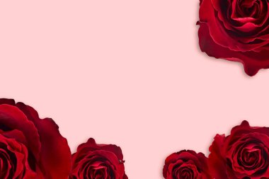 Sevgililer Günü. Çiçek kompozisyonu. Gül çiçeklerinden yapılmış yuvarlak çerçeve, beyaz arkaplanda konfeti. Sevgililer Günü geçmişi. Düz konum, üst görünüm, kopyalama alanı.