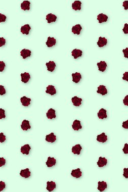 Sevgililer Günü. Çiçek kompozisyonu. Gül çiçeklerinden yapılmış yuvarlak çerçeve, beyaz arkaplanda konfeti. Sevgililer Günü geçmişi. Düz konum, üst görünüm, kopyalama alanı.