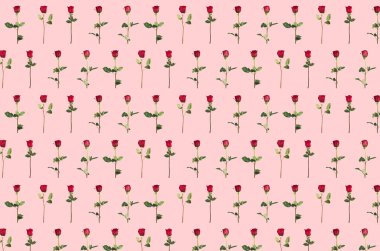 Sevgililer Günü. Çiçek kompozisyonu. Gül çiçeklerinden yapılmış yuvarlak çerçeve, beyaz arkaplanda konfeti. Sevgililer Günü geçmişi. Düz konum, üst görünüm, kopyalama alanı.