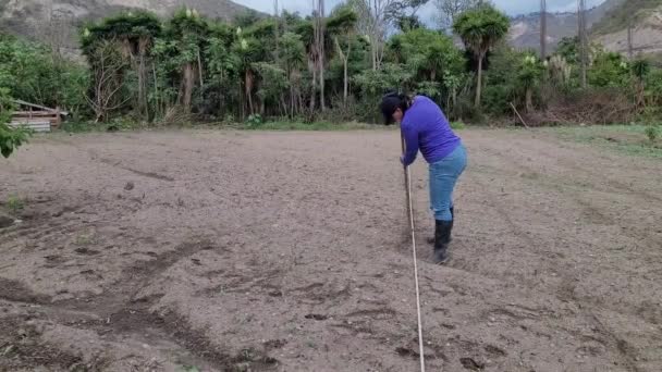 Donne Illing Land Natura Crescita Agricoltura Terreno Fertile Video Menu — Video Stock