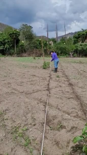 Kvinnor Odla Mark Natur Tillväxt Jordbruk Fertila Marken Video — Stockvideo