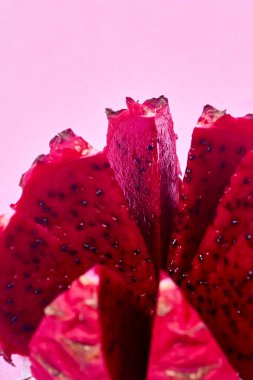 Kırmızı ejderha meyvesi seti. İştah açıcı. Pembe arka planda yalıtılmış. Üst manzara, el.