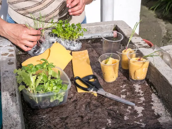 Kontrollü büyüyen bir ortamda akuaponik tohum sepetleri toplayan kadın eller.