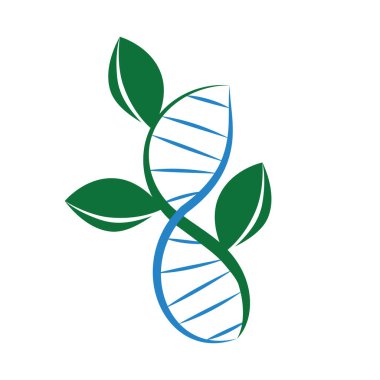 Doğal DNA logosu şablonu. Doğa DNA 'sı doğal yaprak sağlığı. Bir bitkinin içindeki DNA molekülü. Biyolojik DNA