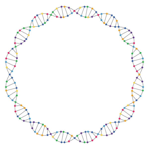 Dna Abstract Vector Background Circle Frame Genetic Code Dna Molecule — Stock Vector