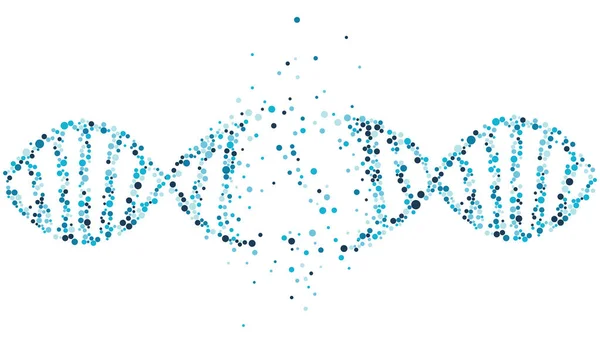Διέλυσε Χρωμόσωμα Dna Λευκό Φόντο Γενετικός Κώδικας Dna Μοριακή Δομή — Διανυσματικό Αρχείο