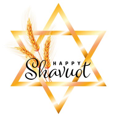 Mutlu Shavuot 'lar. Buğday ve David Star Yahudi bayramı konsepti Shavuot. Sevimli neşeli çelenk Mutlu Shavuot. Altın tasarım
