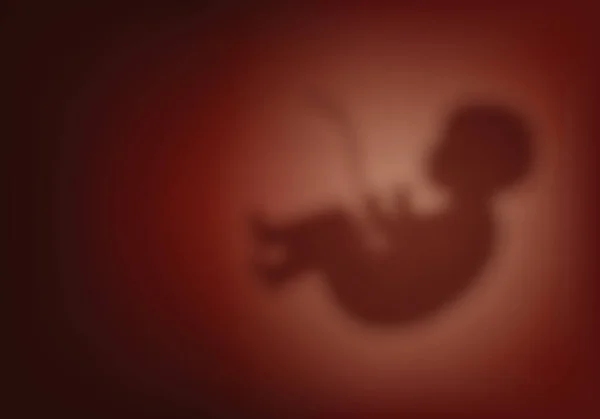产科中模糊的人类胚胎 子宫里的孩子产科中心或妇科医生的概念 怀孕和生育的象征 — 图库矢量图片