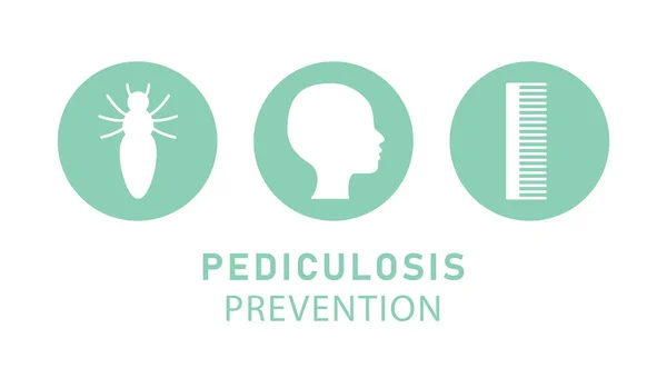 Pediküloz Önleme Ulusal Lice Pediculosis Önleme Ayı Pediküloz Hastalığı Hijyen — Stok Vektör