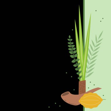 Palmiye dalı, söğüt ağacı ve mersin yaprağı, parlak sarı etrog. Yahudi festivali Sukkot dört tür lulav ve esrog