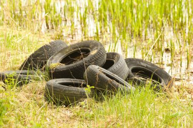 Gölün kıyısındaki eski lastikler. Çevre kirliliği