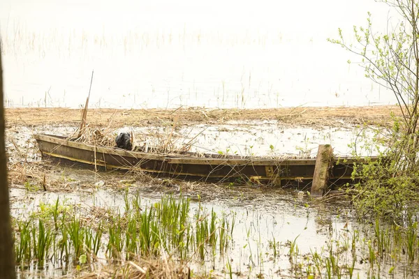 Abandonado Velho Barco Madeira Lago Ervas Daninhas Lama — Fotografia de Stock