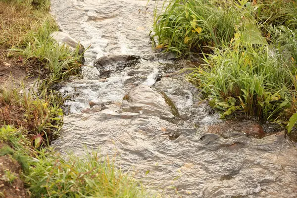 小川の岩の近くで水が飛び交う — ストック写真