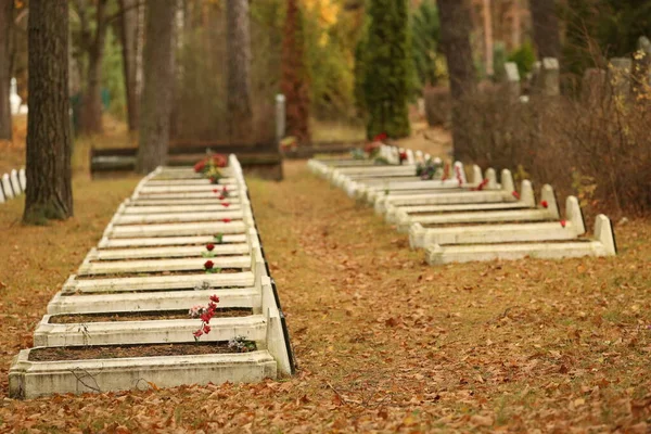 Daugavpils Lettland Oktober 2022 Gräber Sowjetischer Soldaten Auf Dem Brüderfriedhof — Stockfoto