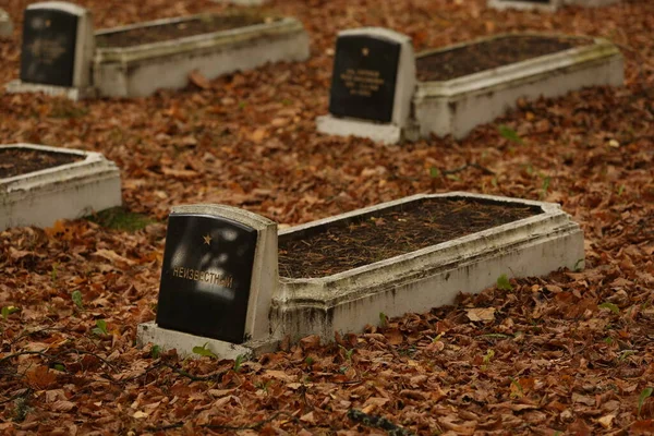 Daugavpils Lettonia Ottobre 2022 Tombe Dei Soldati Sovietici Nel Cimitero — Foto Stock