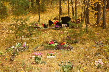 Hayvan mezarlığı. Sonbahar zamanı ormanda mezarlar