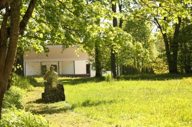 Benzin traktörü çim biçme makinesi olan bir işçi taze yeşil çimleri biçiyor.