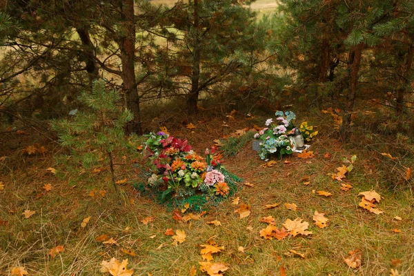 ペット墓地 秋の森の中の墓 — ストック写真