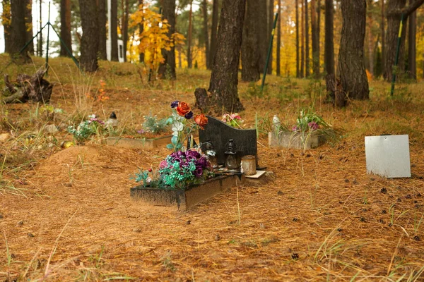 ペット墓地 秋の森の中の墓 — ストック写真