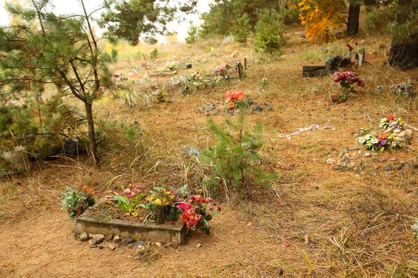 Djurkyrkogården Gravar Skogen Hösten — Stockfoto
