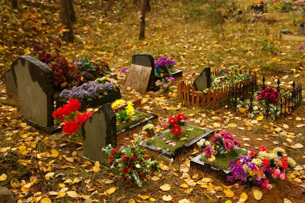 Tierfriedhof Gräber Wald Zur Herbstzeit — Stockfoto