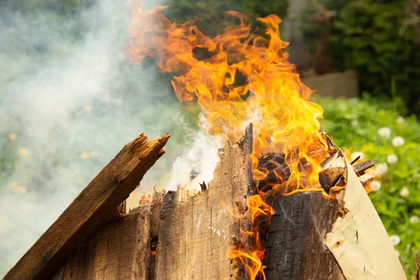 Brandend Brandhout Vuur Van Dichtbij — Stockfoto