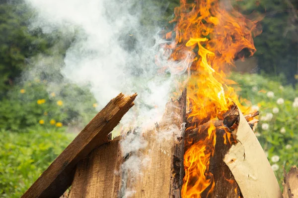 Spalanie Drewna Opał Ogień Bliska — Zdjęcie stockowe